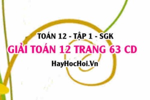 Giải Toán 12 trang 63 tập 1 Cánh Diều